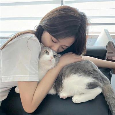 72天搞定你